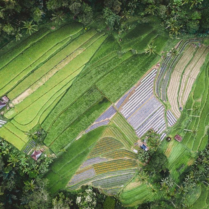Family terraces and cafés for calm evenings in Berlin